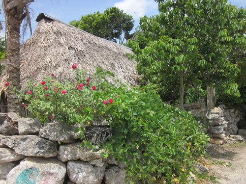 Kinchil House with bougainvillea and political party propaganda zoomed in