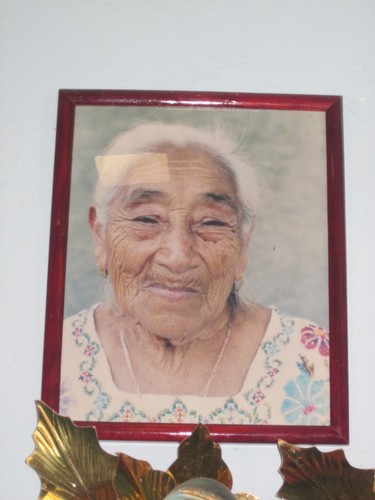 Estebana Aké Chin (Santiago Domínguez Aké's Mother)