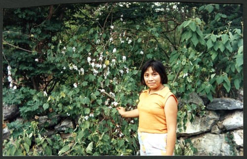 María Teresita de Jesús Chalé Canul age 12