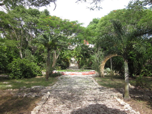 Hacienda Dzina grounds