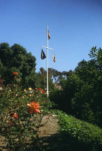 Roses and flag pole at the Scripps Institution of Oceanography