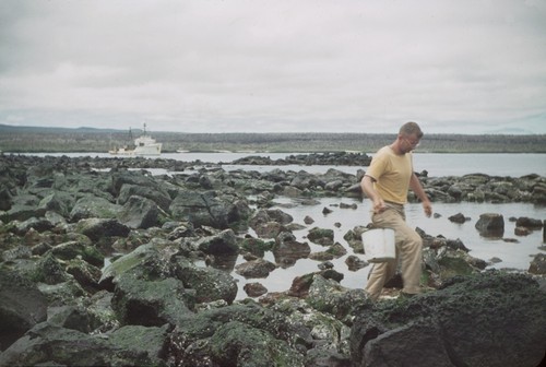 Leo Berner does some tide pool collecting at Academy Bay