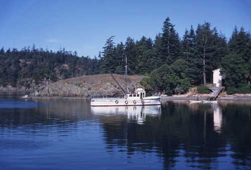 Cleve's Hydah [at Friday Harbor]