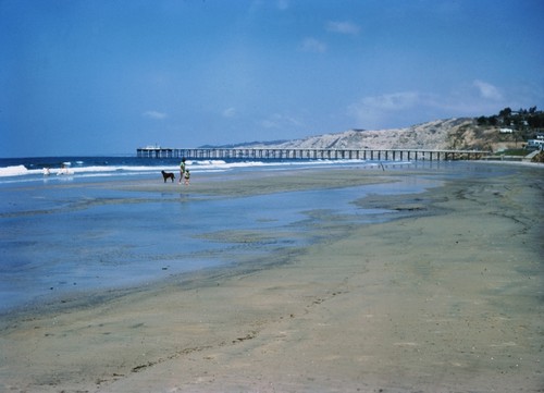 Looking north towards the original wooden Scripps Pier from La Jolla Shores