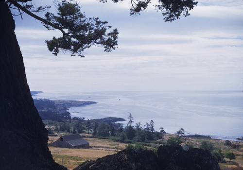 Slicks to the south at tide's ebb, near Lime Kiln, Haro Strait