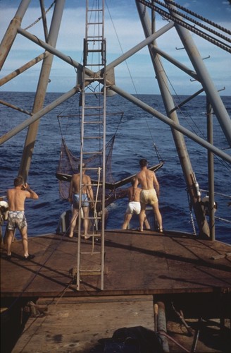 Lowering of Isaacs-Kidd mid-water trawl down 4 hrs with 1 down and 1 up