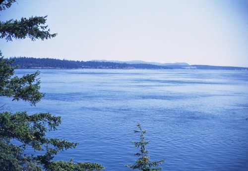 Current Pattern in San Juan Channel Viewed from near Cantiever [Pier, Friday Harbor] Toward Shaw Island. Wind 7MPH - E- Anemograph VIII-8-50 1120 PST