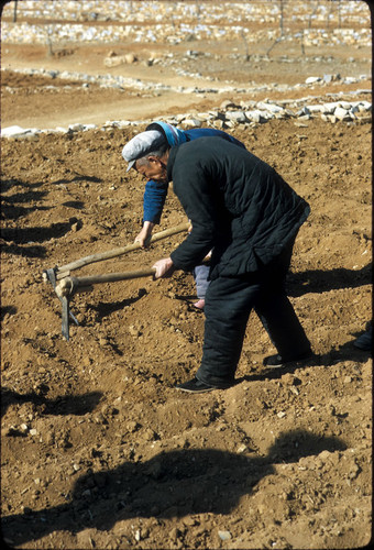 Sandstone Hollow (Shashiyu) Production Brigade (Hebei)