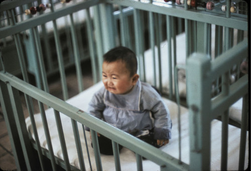 Shanghai Shipyard: Nursery