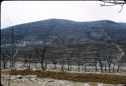 Sandstone Hollow (Shashiyu) Production Brigade (Hebei)