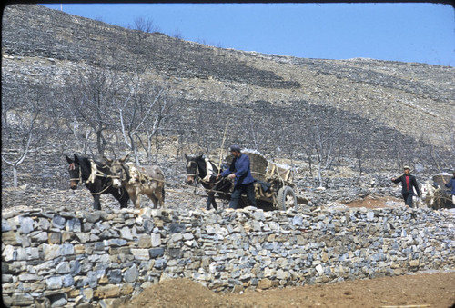 Sandstone Hollow (Shashiyu) Production Brigade (Hebei)