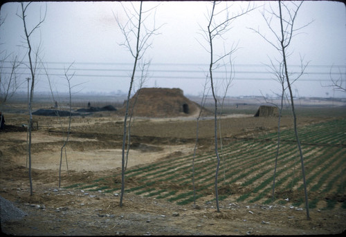 North China Rural Scene