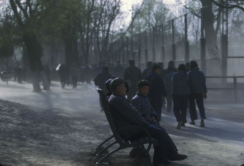 A Beijing Park