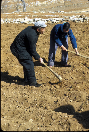 Sandstone Hollow (Shashiyu) Production Brigade (Hebei)