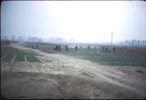 North China Rural Scene