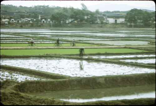 Rural Scene near Border (taken from train)