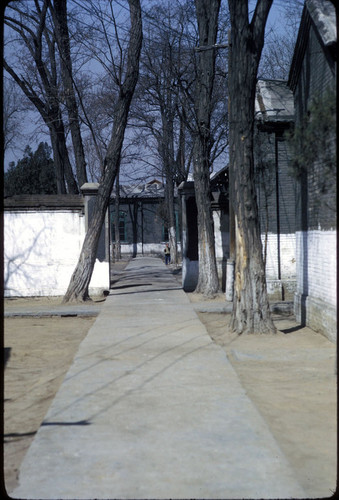 Tangshan Number 10 Middle School