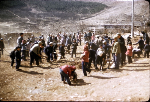 Building a School Playground