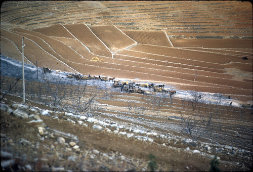 Sandstone Hollow (Shashiyu) Production Brigade (Hebei)