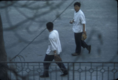 Young Men with Baseball Mitts! 1972!?