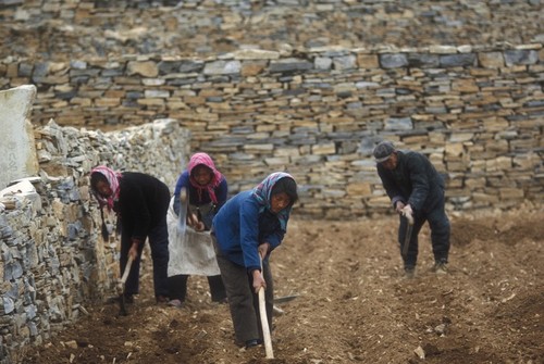 Preparing the Soil for Spring Planting