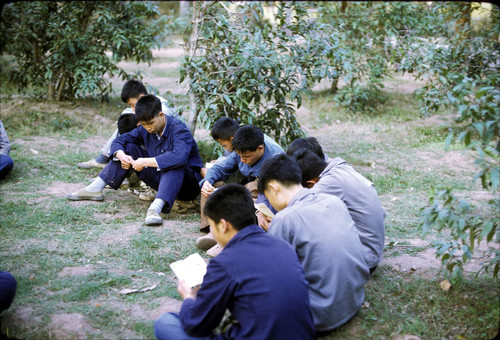 Study Group