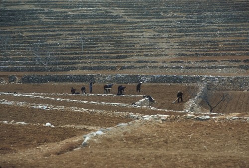 Preparing the Soil for Spring Planting