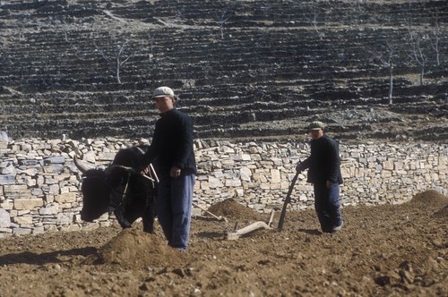 Preparing the Soil for Spring Planting