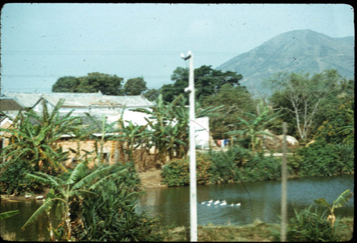 Rural Scene Taken from Train (near border)