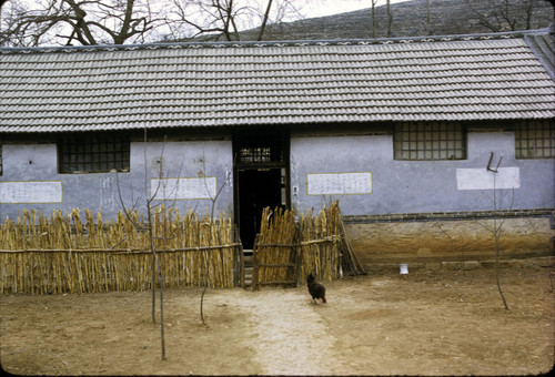 Rural House