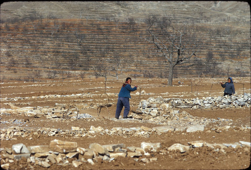 Sandstone Hollow (Shashiyu) Production Brigade (Hebei)