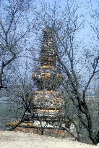 Summer Palace Artifact