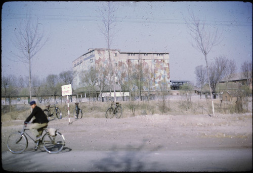 Tianjin Street Scene