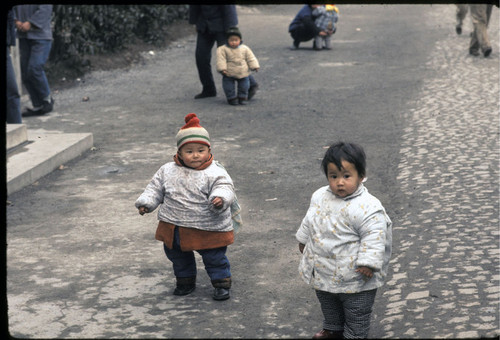 Shanghai Shipyard: Nursery