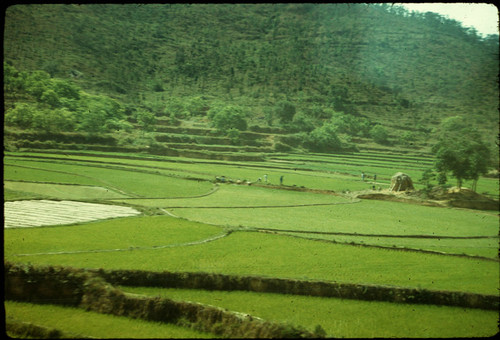 Rural Scene Taken from Train (near border)