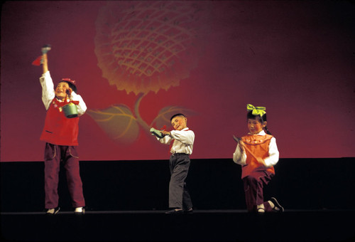 Wuxi Little Red Guards Performance