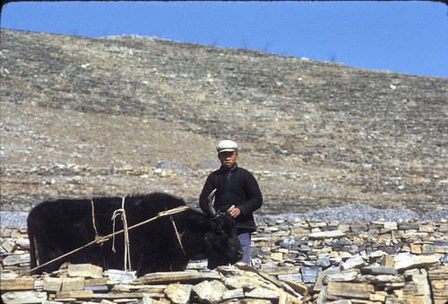 Sandstone Hollow (Shashiyu) Production Brigade (Hebei)