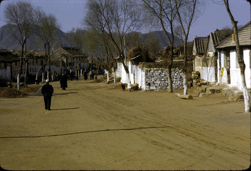 Rural Street Scene