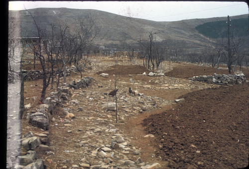 Sandstone Hollow (Shashiyu) Production Brigade (Hebei)