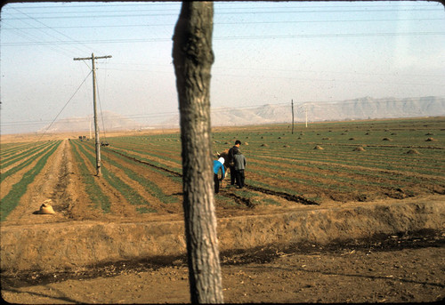 North China Village Scene