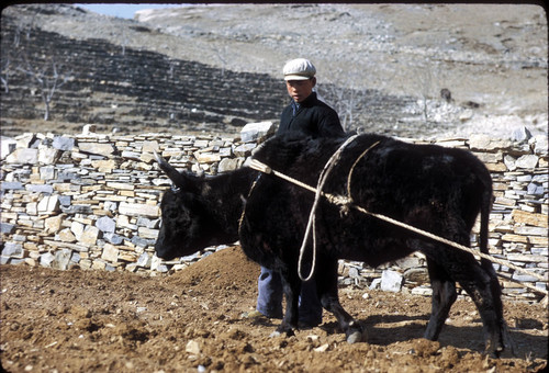 Sandstone Hollow (Shashiyu) Production Brigade (Hebei)