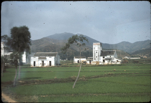 Rural Scene Taken from Train (near border)