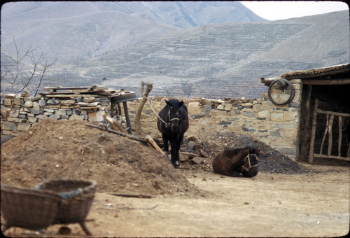 Sandstone Hollow (Shashiyu) Production Brigade (Hebei)