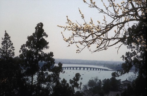 Summer Palace Scenery