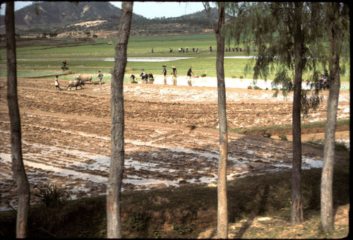 Rural Scene Taken from Train (near border)