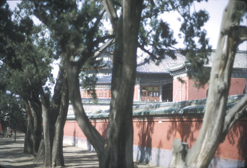 At the Temple of Heaven