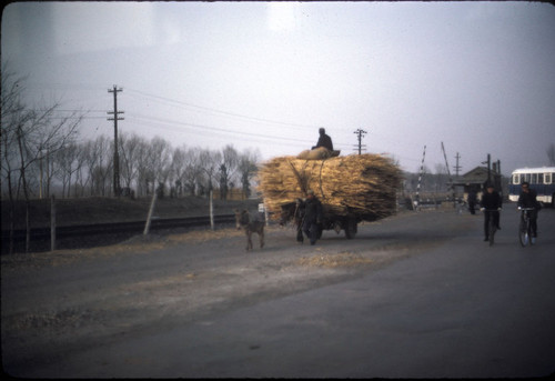 North China Rural Scene