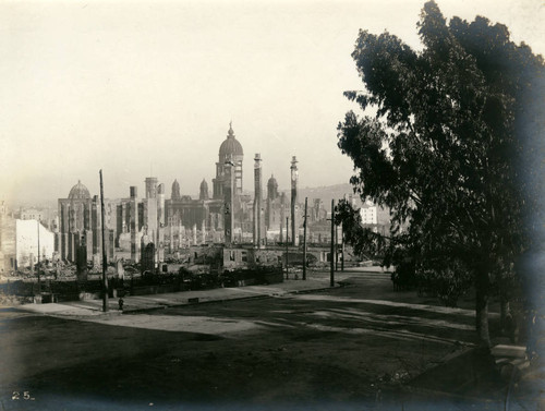 Group of Chimneys and City Hall from Van Ness Avenue, San Francisco Earthquake and Fire, 1906 [photograph]