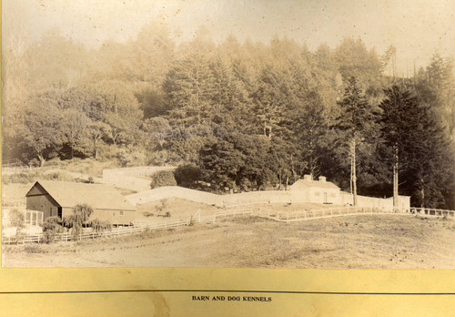 The barn and dog kennels at The Country Club in Bear Valley, Marin County, California, circa 1895 [photograph]