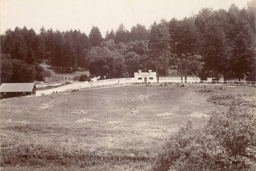 The Kennels at The Country Club in Bear Valley, Marin County, California, circa 1895 [photograph]